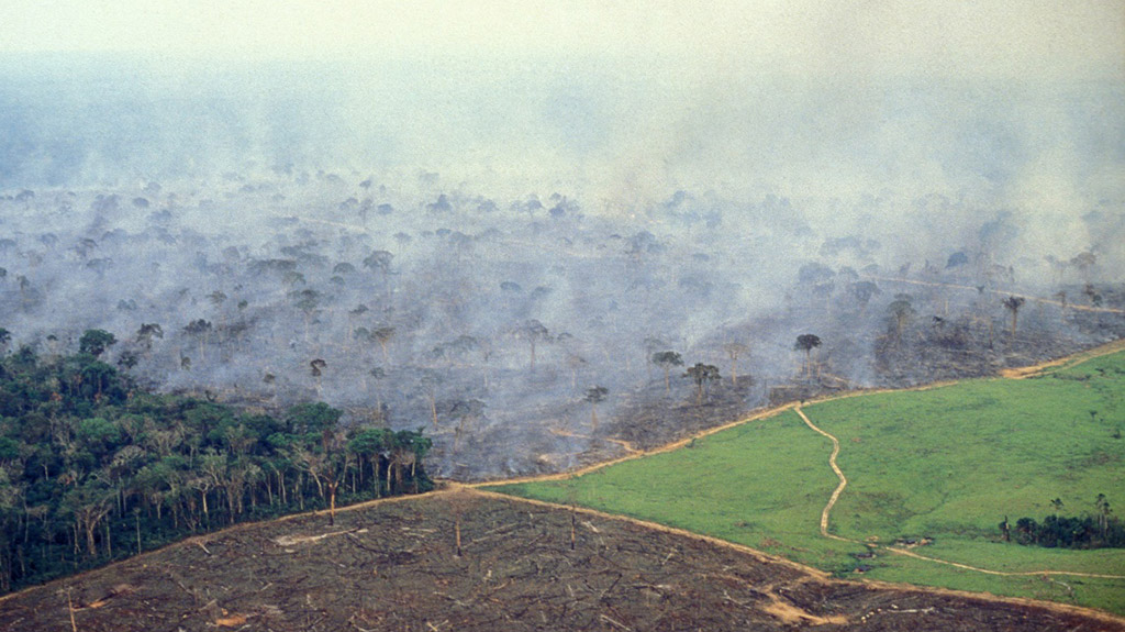 18 INMD deforestazione amazzonia2 lifegate it